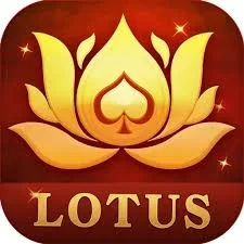 Lotus 365 APK Download